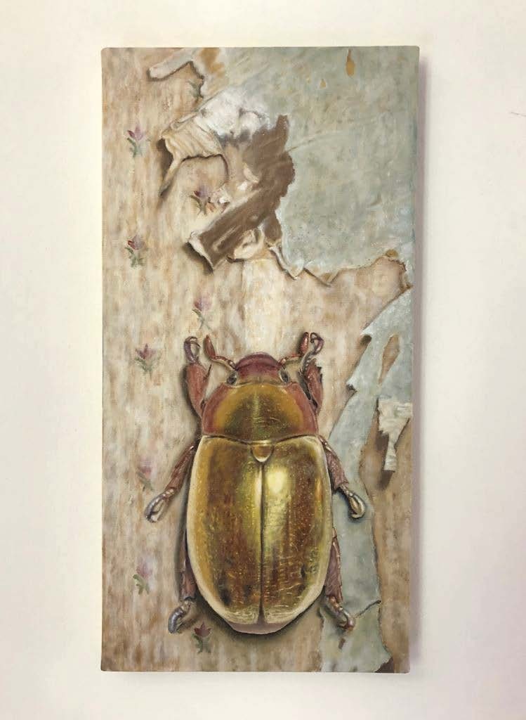 Little Gold — Salvo Nero