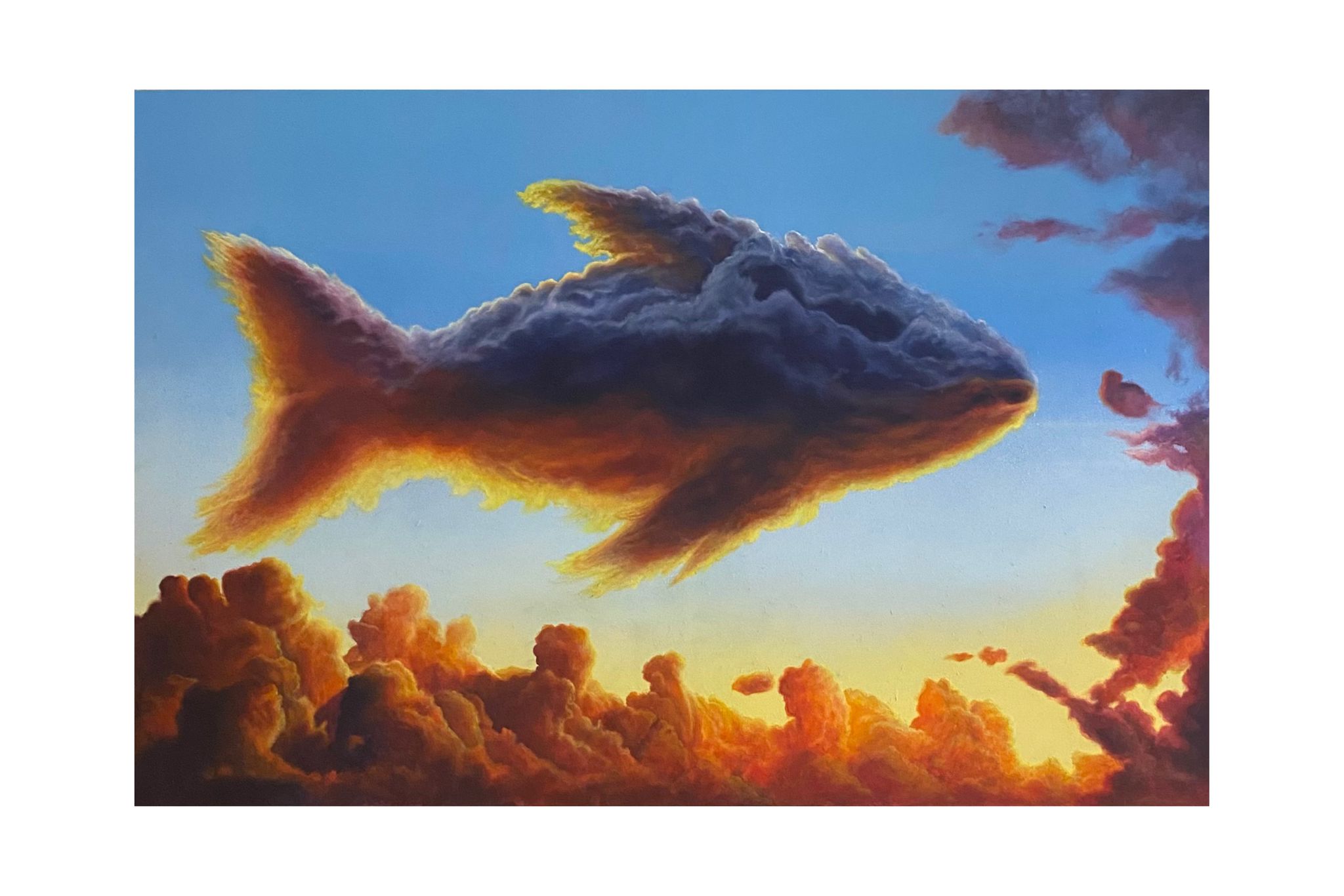 Fish in the sky — Salvo Nero